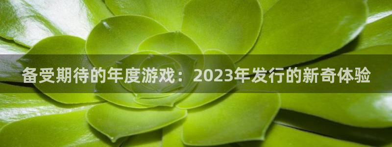 雷火竞技超纯啤酒怎么样：备受期待的年度游戏：2023年发行的新奇体验