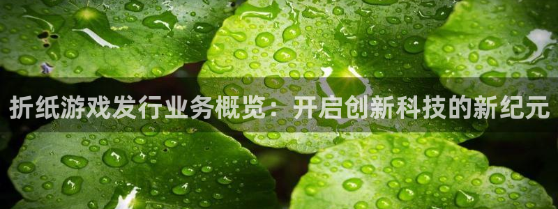 雷火竞技是什么：折纸游戏发行业务概览：开启创新科技的新纪元