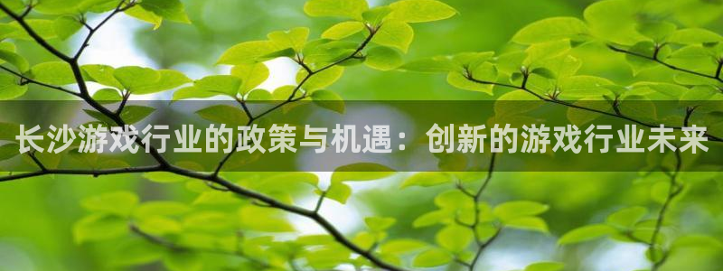 法国雷火竞技官网：长沙游戏行业的政策与机遇：创新的游戏行业未来
