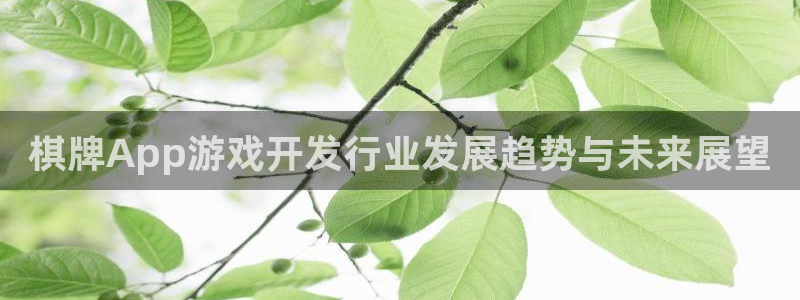 雷火竞技平台登录入口官网