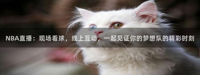 网络体育直播吧