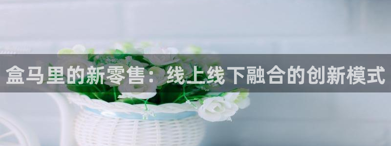 nba直播极速体育直播吧触屏版：盒马里的新零售：线上线下融合的创新模式