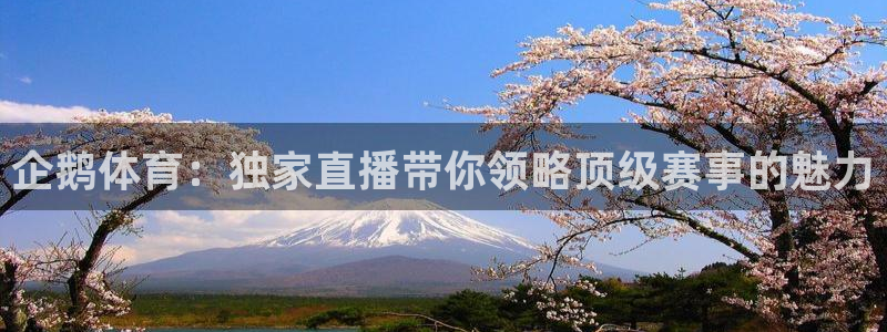 足球直播在线直播观看免费直播吧手机版：企鹅体育：独家直播带你领略顶级赛事的魅力
