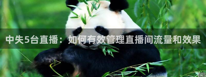 jrs直播直播吧：中失5台直播：如何有效管理直播间流量和效果