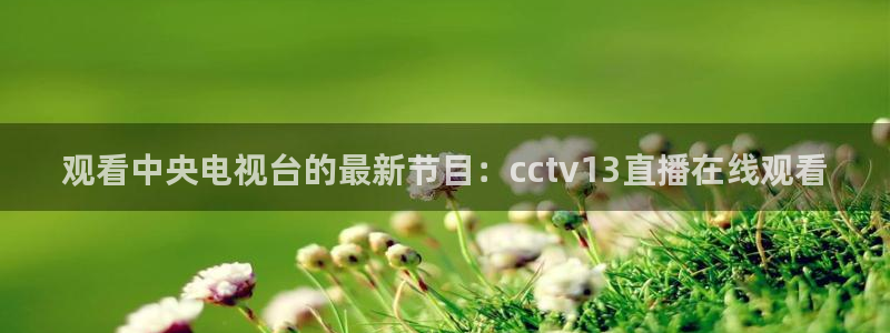 新闻图片