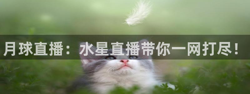 直播吧足球新闻资讯：月球直播：水星直播带你一网打尽！