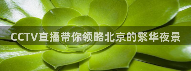 体育网球直播吧：CCTV直播带你领略北京的繁华夜景