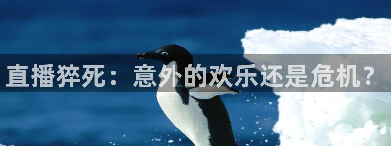 新闻图片