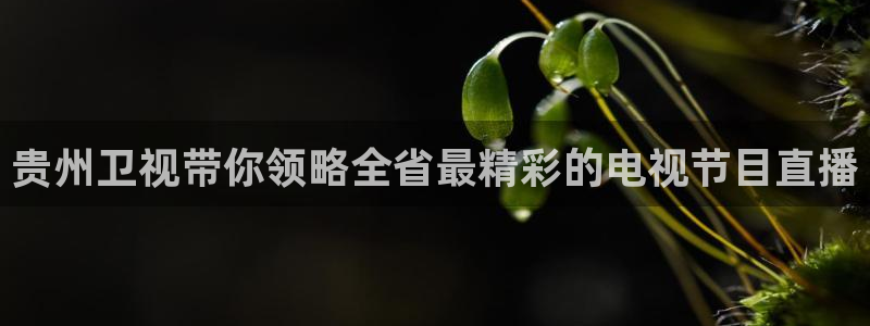阿森纳直播吧：贵州卫视带你领略全省最精彩的电视节目直播